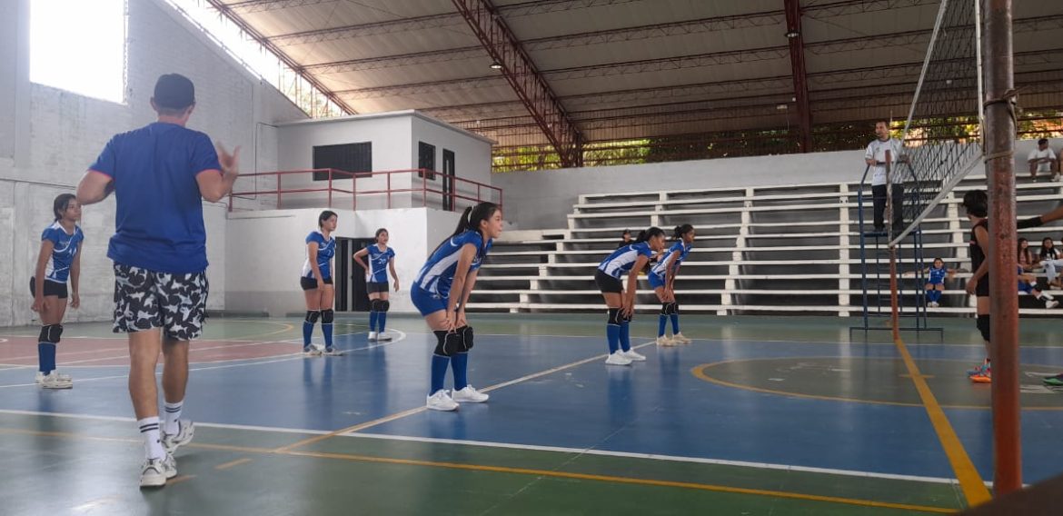 semillero: voleibol