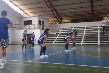 semillero: voleibol