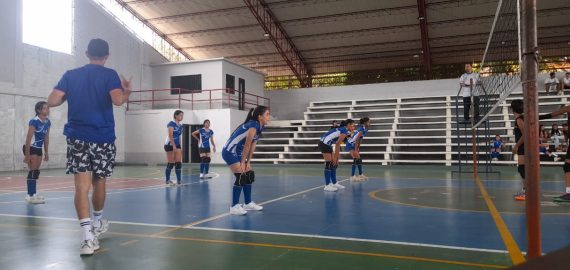semillero: voleibol