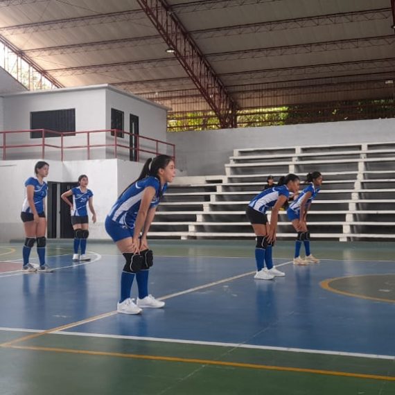 semillero: voleibol