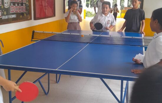 tenis